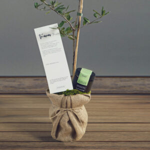Oak Symphony - Image 2